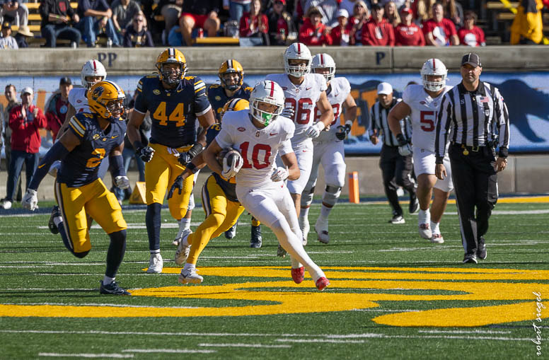 stanford football 2024